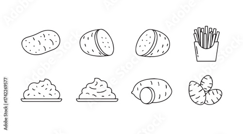 Collection of hand drawn potato ingredients and dishes isolated on white vector