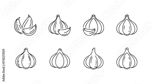 Set of hand drawn garlic bulbs and cloves sketch elements for culinary and ingredient design vector