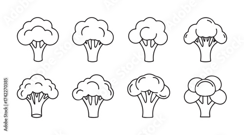 Collection of hand drawn broccoli florets isolated on for organic food design vector