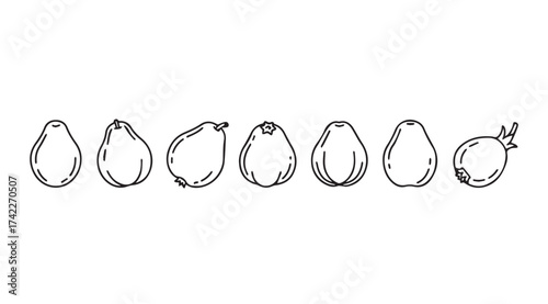 Artistic sketch of seven pears diverse shapes and sizes hand drawn fruit collection isolated on white vector