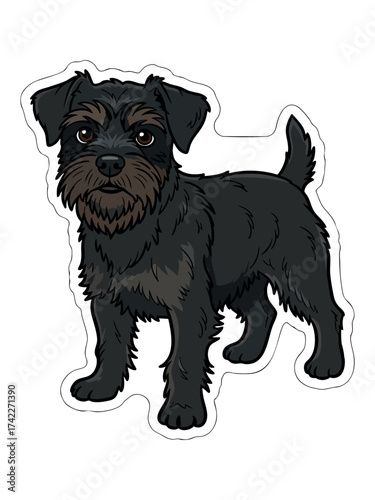 Affenpinscher dog cut sticker. White background.