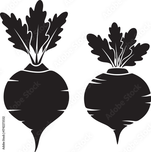 Two radishes with transparent background