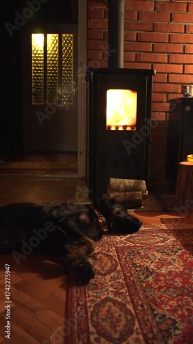 Dog is sleeping on the floor in front of oven with fire. 