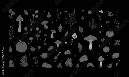 Set of dark autumn nature art illustration doodle vector: mushroom, branches, flowers, pumpkin, leaves, rocks, separate nature elements isolated 