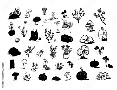Set of autumn nature art illustration doodle vector: mushroom, branches, flowers, pumpkin, leaves, rocks, separate nature elements isolated 