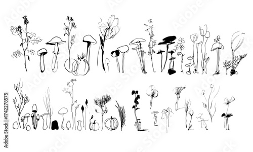 Set of autumn nature art illustration doodle vector: mushroom, branches, flowers, pumpkin, leaves, rocks, separate nature elements isolated 