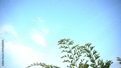 青空