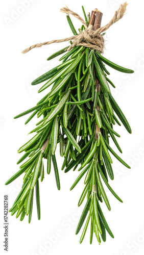 A fresh bunch of aromatic rosemary herbs tied with twine.