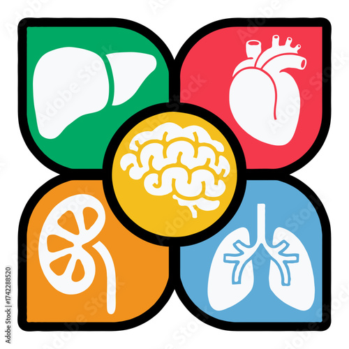 Vector icon of human vital organ like brain, heart, kidney, liver, lungs, in white colour with colorful background 