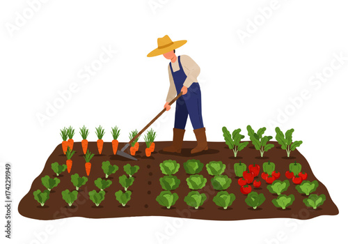 Farmer wearing a straw hat tending to his vegetable garden, using a hoe between rows of carrots, lettuce, beets, and cabbage.