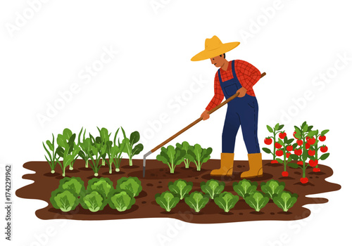 A farmer wearing a hat and overalls tends to rows of vegetables in a garden with a rake.