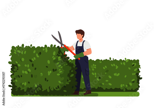 A man wearing overalls and gloves is trimming a green hedge with large red handled shears.