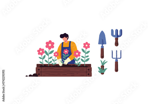 A man wearing an apron is planting pink flowers in a wooden planter box, gardening tools are displayed.