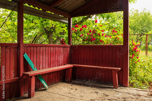 Wooden old veranda overlooking the garden with a bush of blooming rose. Porch interior with a bench in an abandoned country house