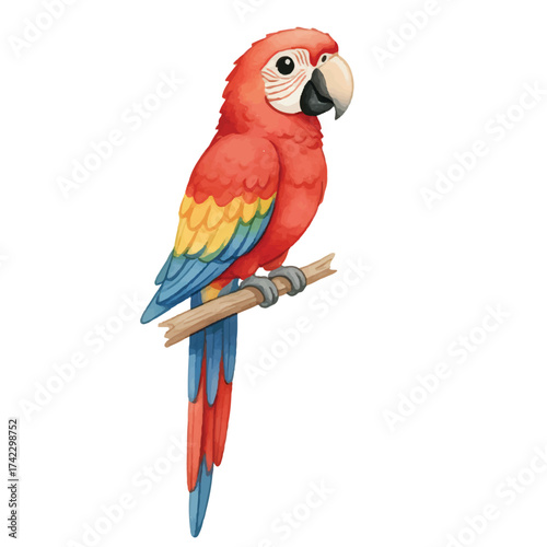Colorful Watercolor Parrot Illustration