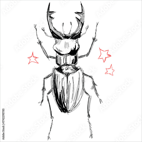 Stag beetle. Lucanus cervus. Vector, line art, hand drawn illustration. Simplified stylization. Black and white. Tattoo sketch. Print for stickers, sketchbooks, pins, clothes, cups.