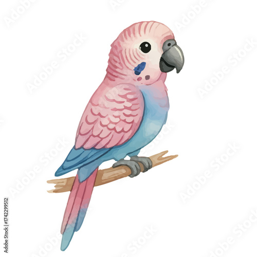 Scarlet Macaw Tropical Bird Hand Painted