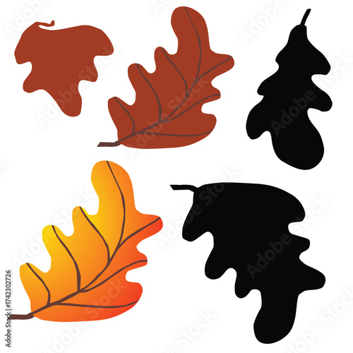 vector illustration of  autum leaf
