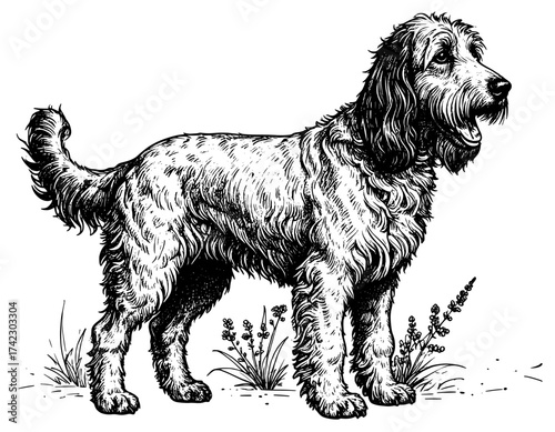 Hand drawn black and white dog isolated