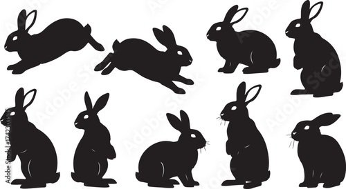 Silhouette bunny rabbit poses collection
