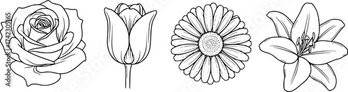 Classic flowers outline set. Rose tulip daisy and lily vector in elegant black line style.

