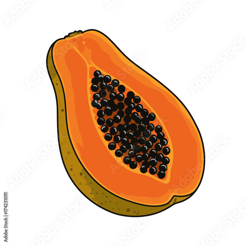 Papaya slice with seeds showing vibrant orange flesh and greenish peel
