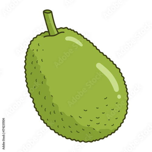 Whole avocado with textured skin and stem isolation