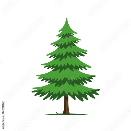 Green pine tree with layered branches and brown trunk on white background