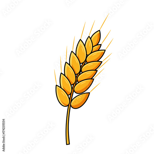 Wheat ear with ripe grains on a stem for agricultural themes
