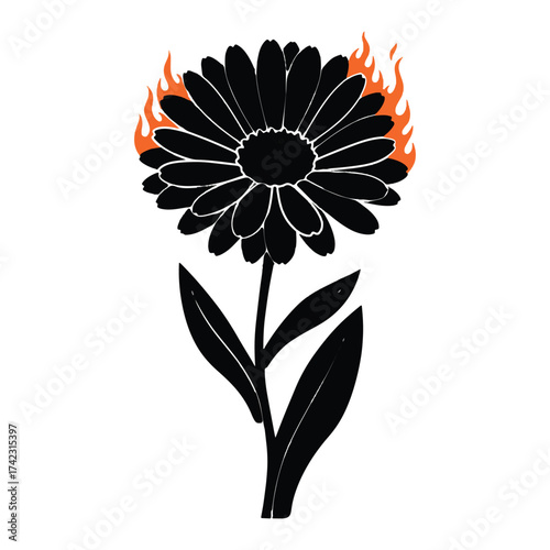 Burning Flower Illustration Isolated on White Background Black Silhouette Style