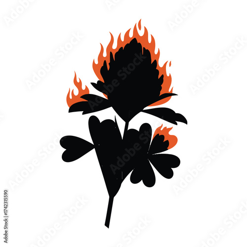 Burning flower on white background depicting destruction and dangerous beauty