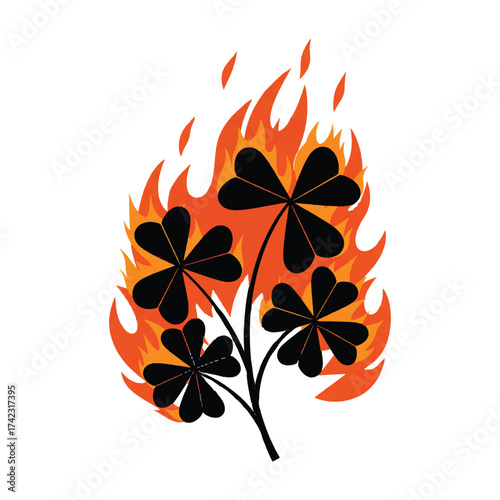 Flaming Four Leaf Clover Symbol of Lost Luck and Bad Fortune