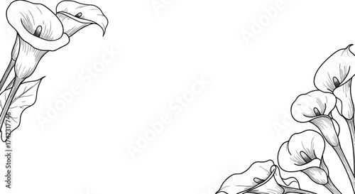Calla lily flower line art