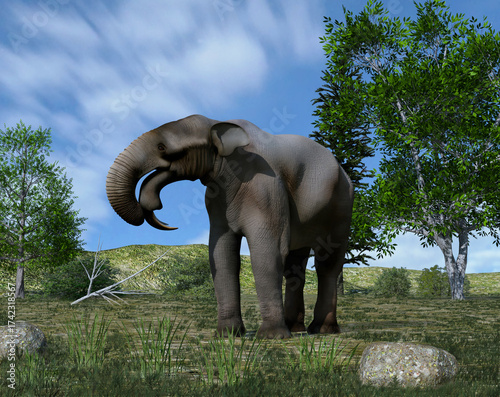 Illustration of a Deinotherium (extinct mammal that lived between the Miocene and the Pleistocene)