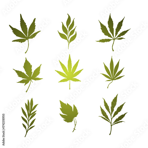 Set Leaf Silhouette Gradient Color 