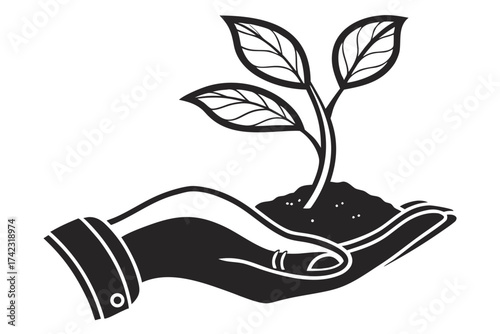hand holding plant