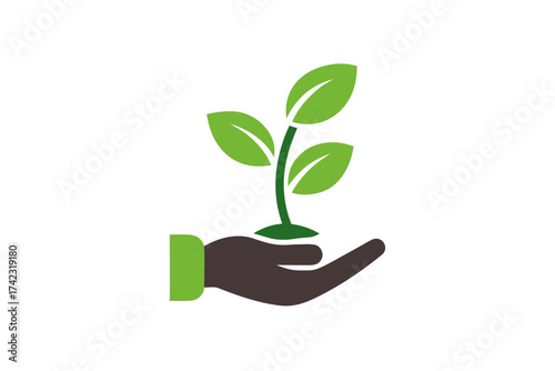hand holding plant