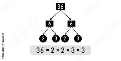 Prime Factor Tree of 36 in mathematics.