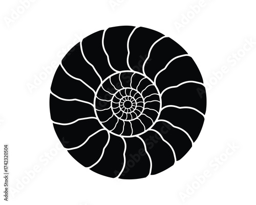 Spiral shell nautilus design
