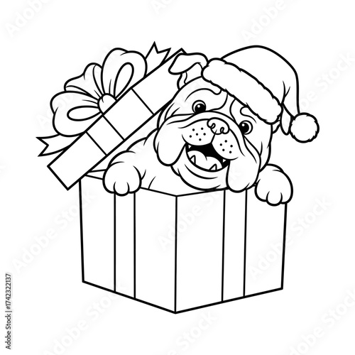 Cute bulldog in a Santa hat popping out of a Christmas gift box. Holiday vector coloring page.