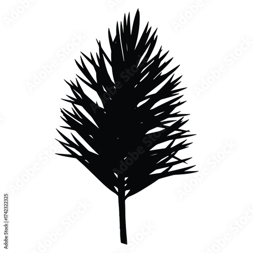 Black silhouette of coniferous tree on white background illustration design