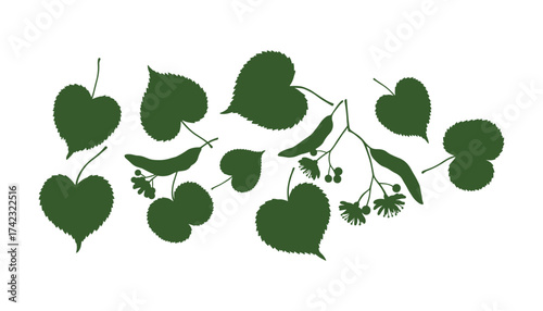 Linden Tree Elements Collection