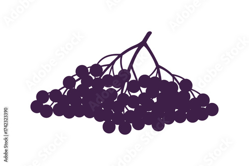 Elderberry Bunch Silhouette