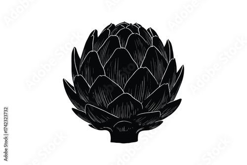 Artichoke black silhouette vector