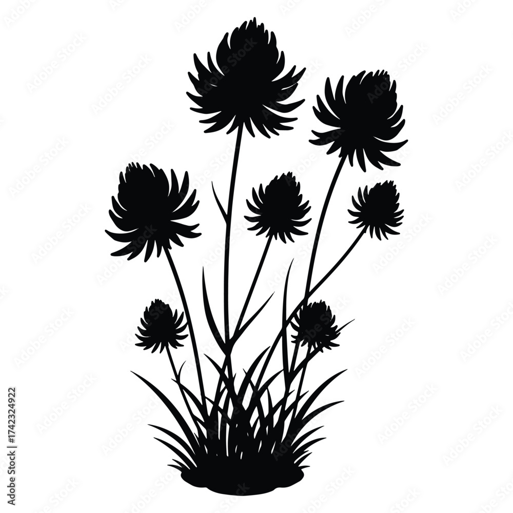 Obraz premium Elegant black flower silhouette with grass on white background illustration