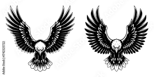 Vector art of two eagles with open wings, vector illustration, black and white drawing