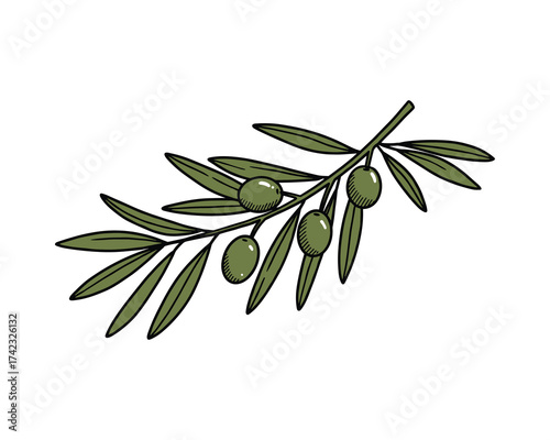 Olive branch with olives