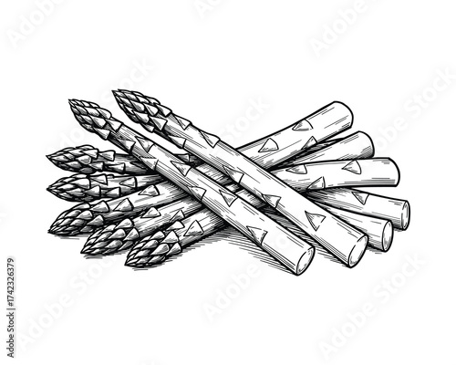 Asparagus spears heap bundle
