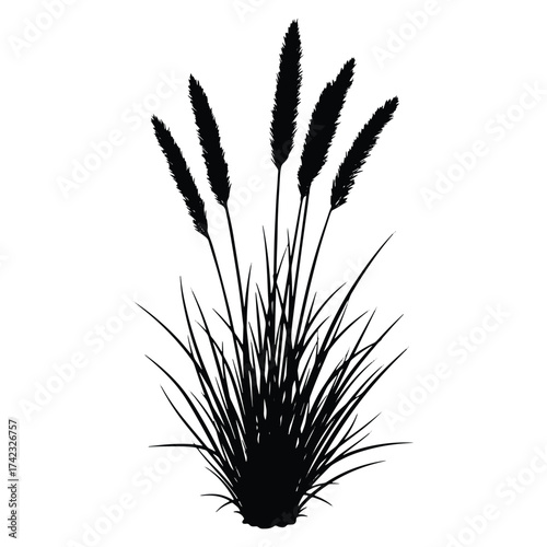 Silhouette of tall grass blowing in the wind vector illustration