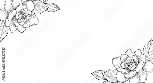 Gardenia flowers and leaves corner elements